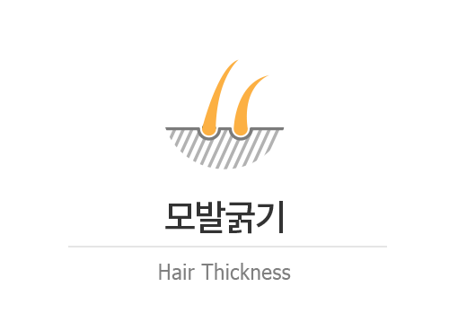 12icon모발굵기